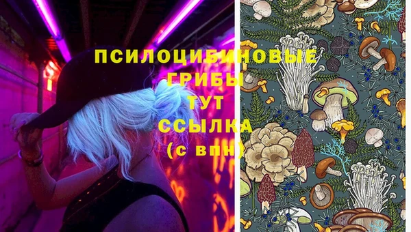 амф Алексин