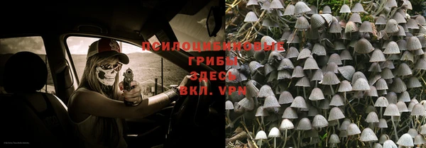 амф Алексин