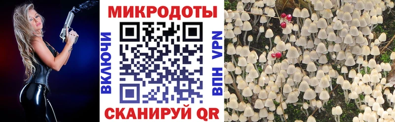 сколько стоит  Новая Ляля  Псилоцибиновые грибы мицелий 